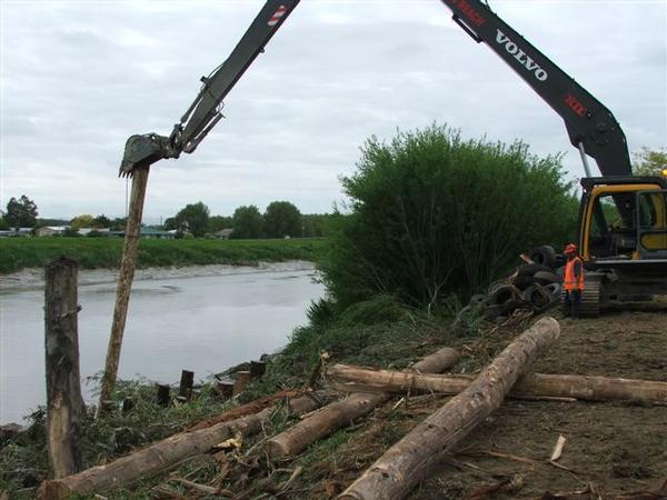 Driving 8m long gumpiles and tying willows in position